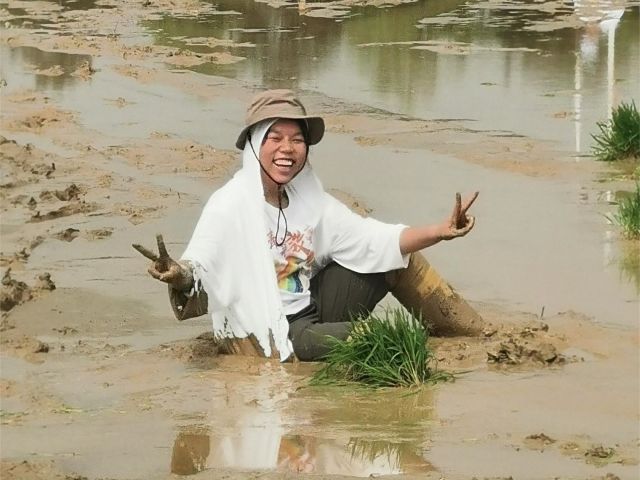 农耕体验
